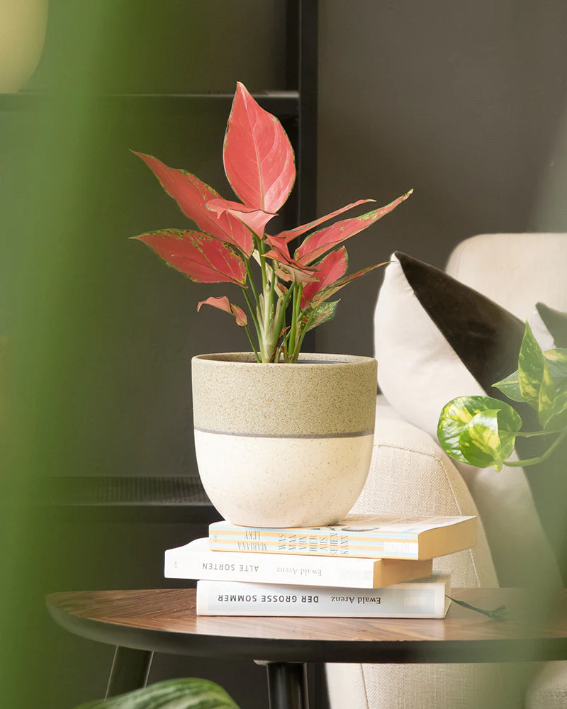Produktbild 6